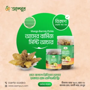 Professional Mango Pickles Social Media Post Design