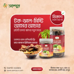 Professional Mango Pickles Social Media Post Design