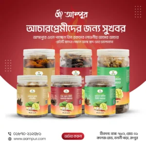 Professional Mango Pickles Social Media Post Design