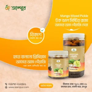 Professional Mango Pickles Social Media Post Design