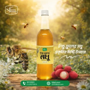 Social media  post design